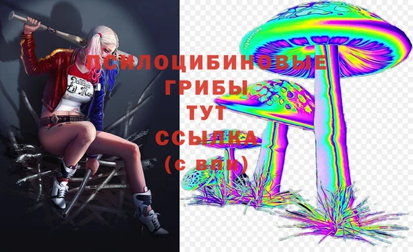 ешки Алзамай