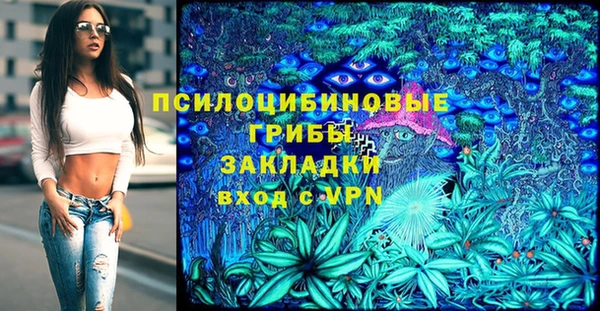 ешки Алзамай