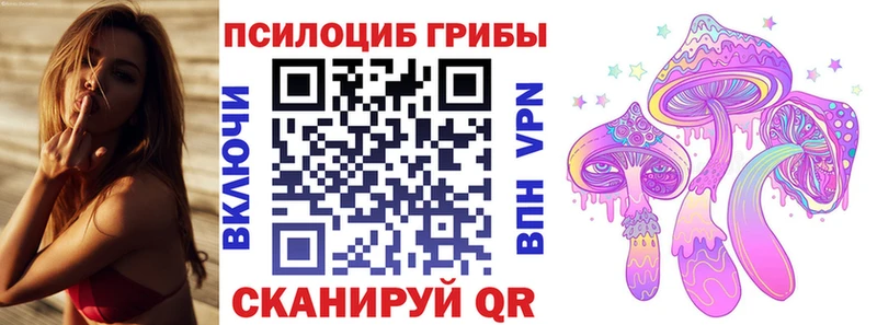 Псилоцибиновые грибы прущие грибы  Тейково 