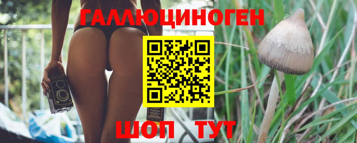 Тейково  Псилоцибиновые грибы Cubensis  Вход с VPN 
